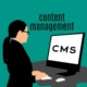 Headless CMS: Die Zukunft der Content-Verwaltung