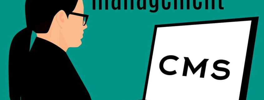 Headless CMS: Die Zukunft der Content-Verwaltung